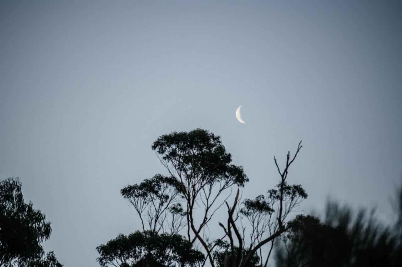 Freycinet Resort Coles Bay Bagian luar foto