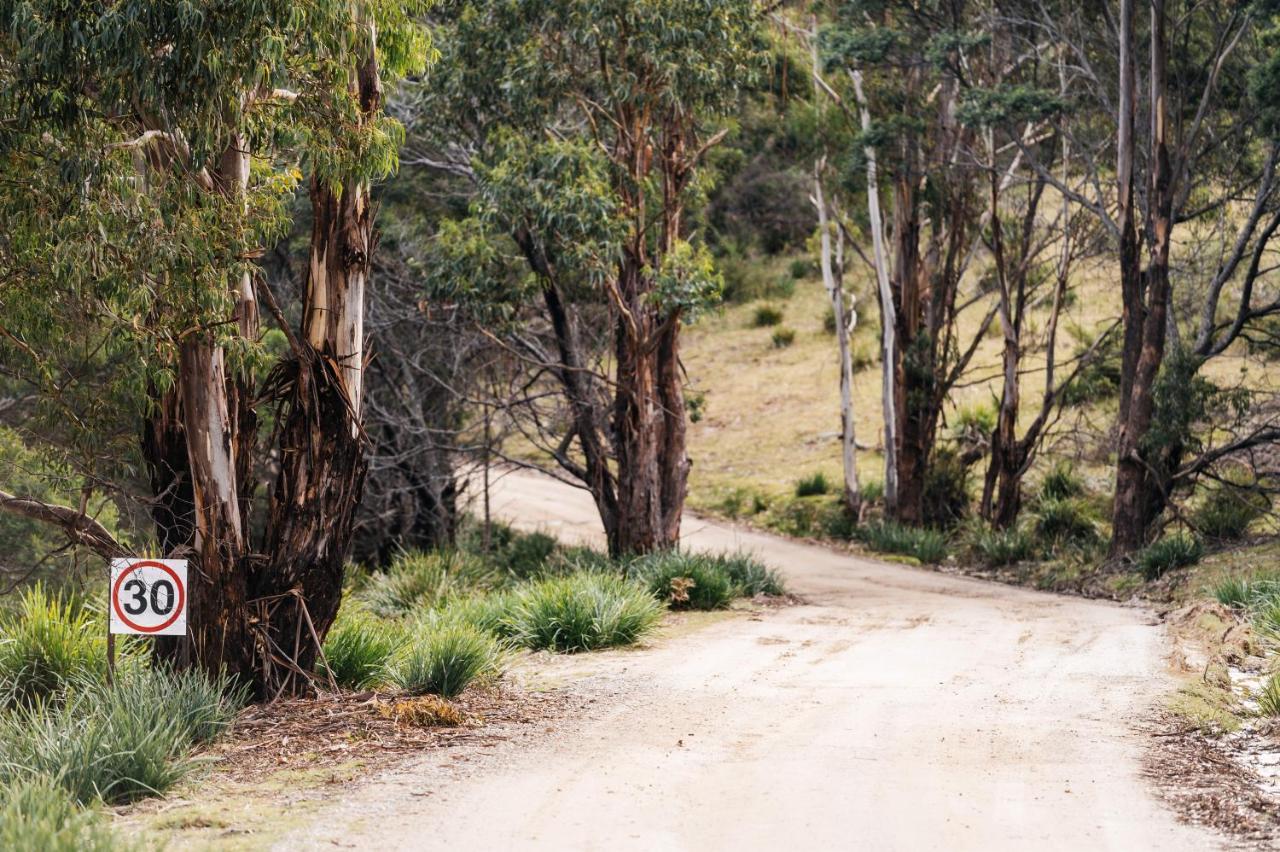 Freycinet Resort Coles Bay Bagian luar foto